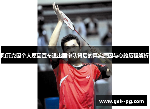 陶菲克因个人原因宣布退出国家队背后的真实原因与心路历程解析